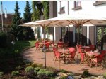 Summer Garden/Terrace